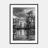 Louisiana Photo B&W Poster