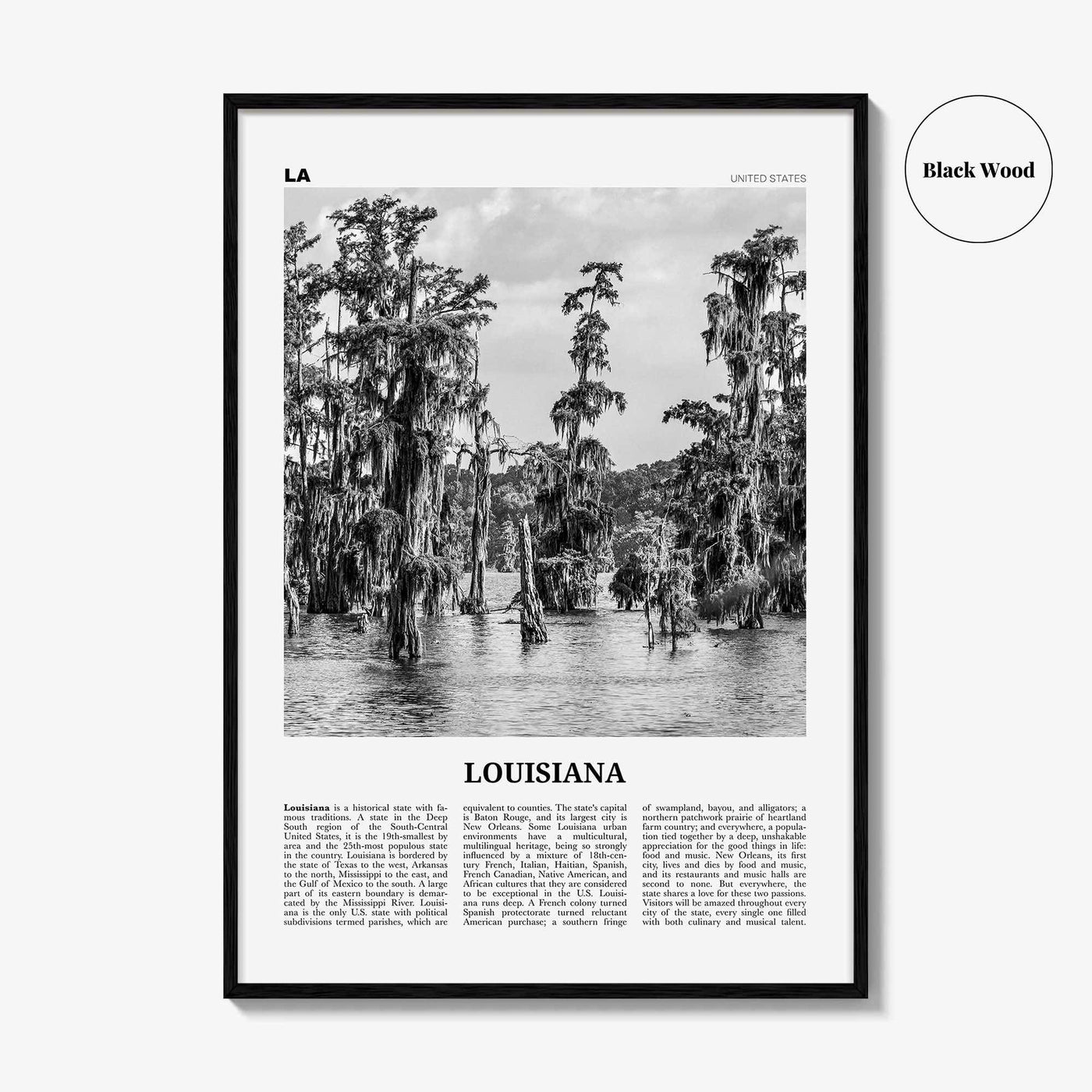 Louisiana Print Black and White No 1, Louisiana Wall Art, Louisiana Poster, Louisiana Photo, Louisiana Decor, USA, United States