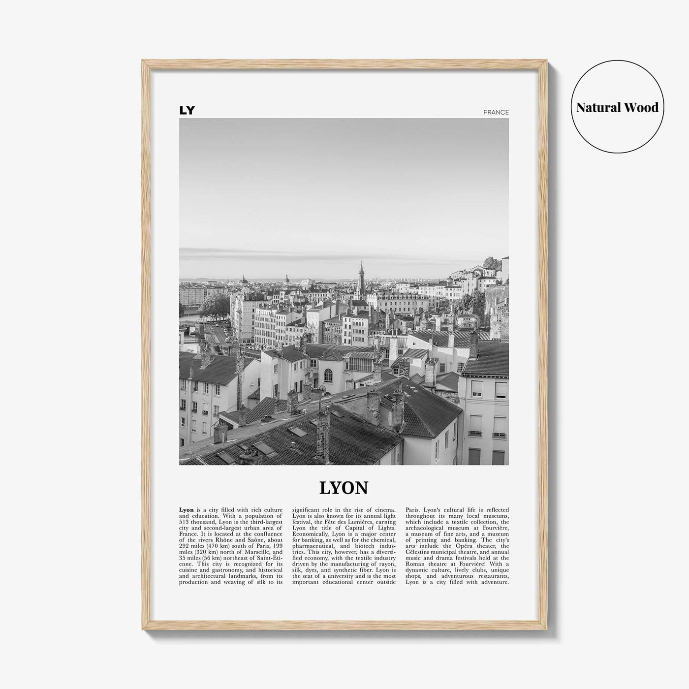 Lyon Print Black and White No 1, Lyon Wall Art, Lyon Poster, Lyon Photo, Lyon Wall Decor, Lyon, Liyon, Lione, Rhône-Alpes, Europe