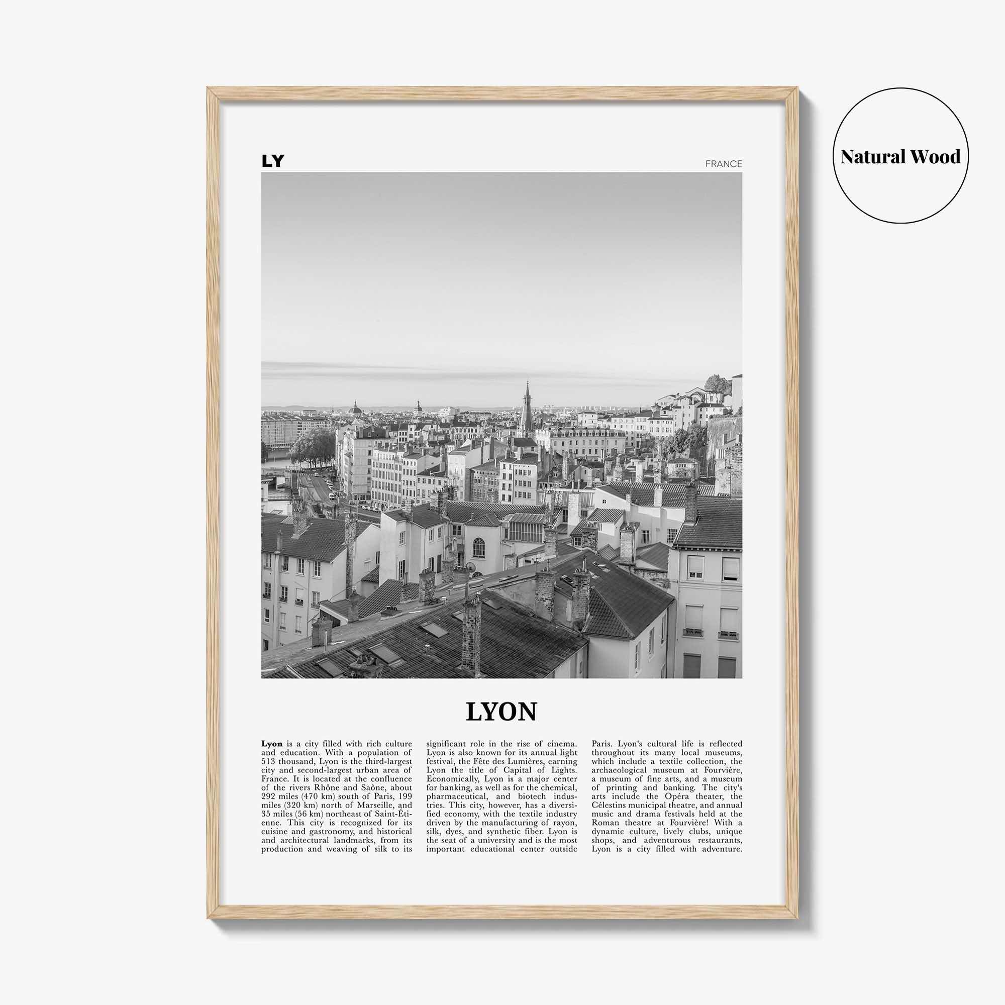 Lyon Print Black and White No 1, Lyon Wall Art, Lyon Poster, Lyon Photo, Lyon Wall Decor, Lyon, Liyon, Lione, Rhône-Alpes, Europe