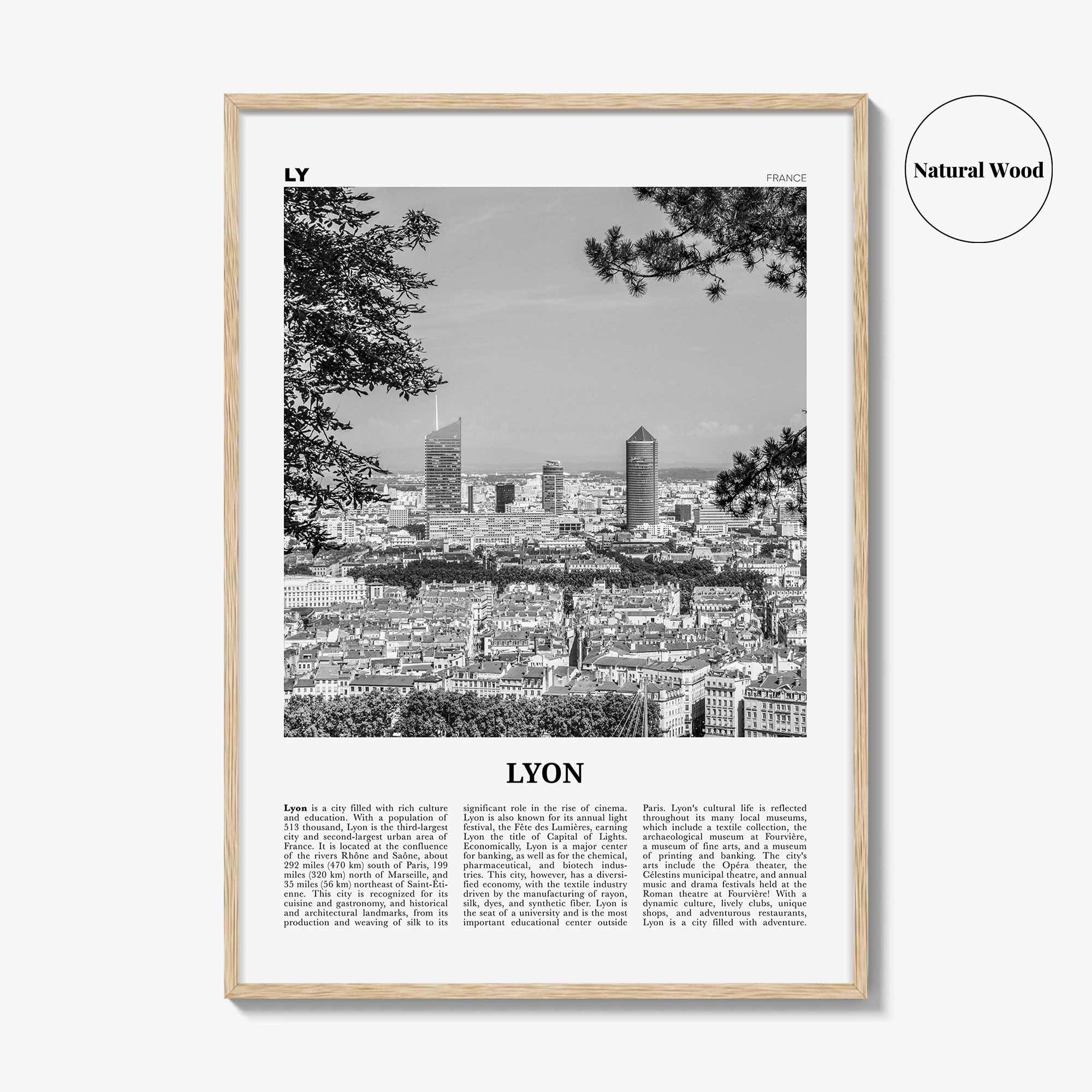 Lyon Print Black and White No 2, Lyon Wall Art, Lyon Poster, Lyon Photo, Lyon Wall Decor, Lyon, Liyon, Lione, Rhône-Alpes, Europe