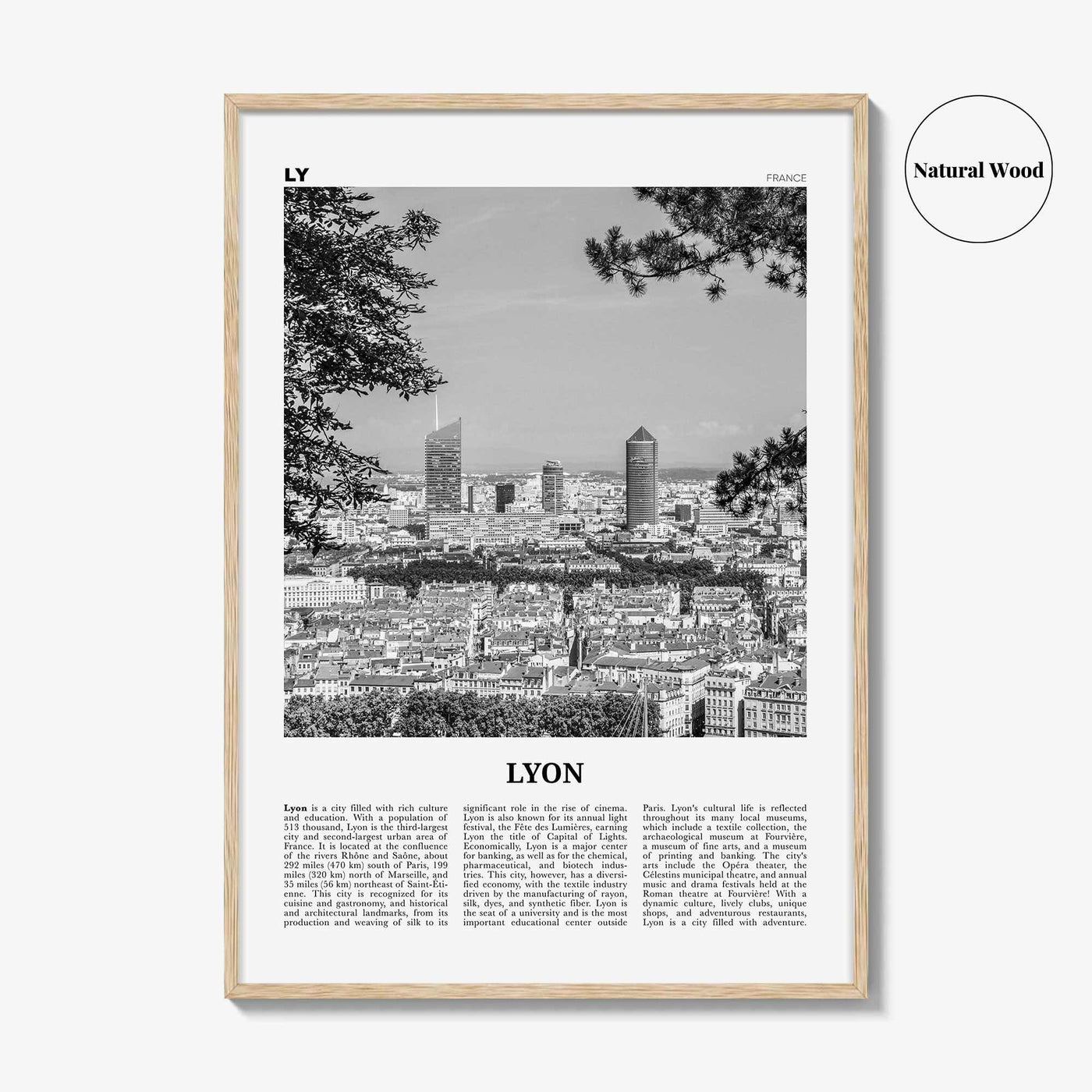 Lyon Print Black and White No 2, Lyon Wall Art, Lyon Poster, Lyon Photo, Lyon Wall Decor, Lyon, Liyon, Lione, Rhône-Alpes, Europe