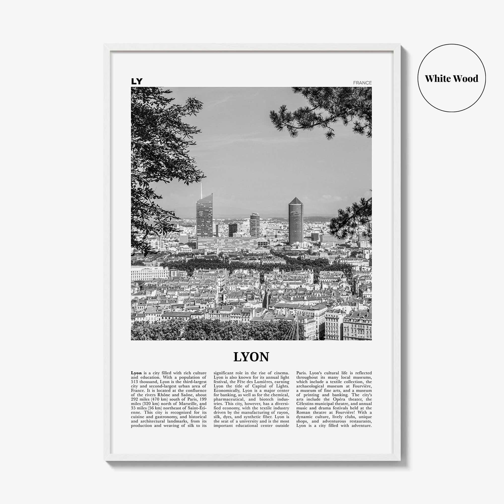 Lyon Print Black and White No 2, Lyon Wall Art, Lyon Poster, Lyon Photo, Lyon Wall Decor, Lyon, Liyon, Lione, Rhône-Alpes, Europe