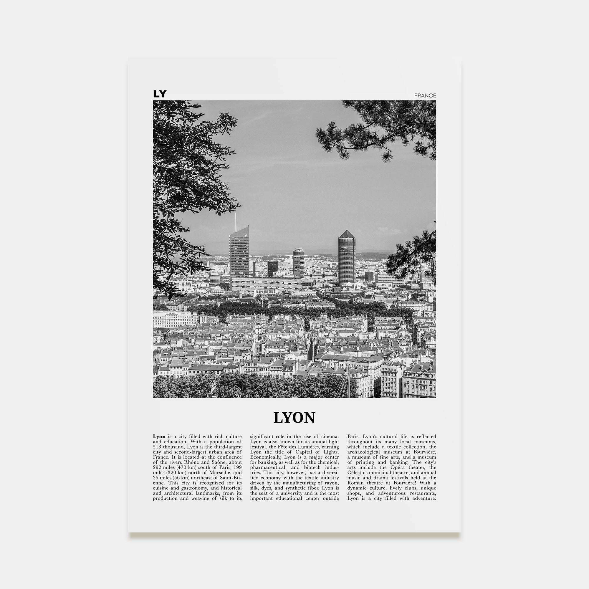 Lyon Travel B&W No 2 Poster