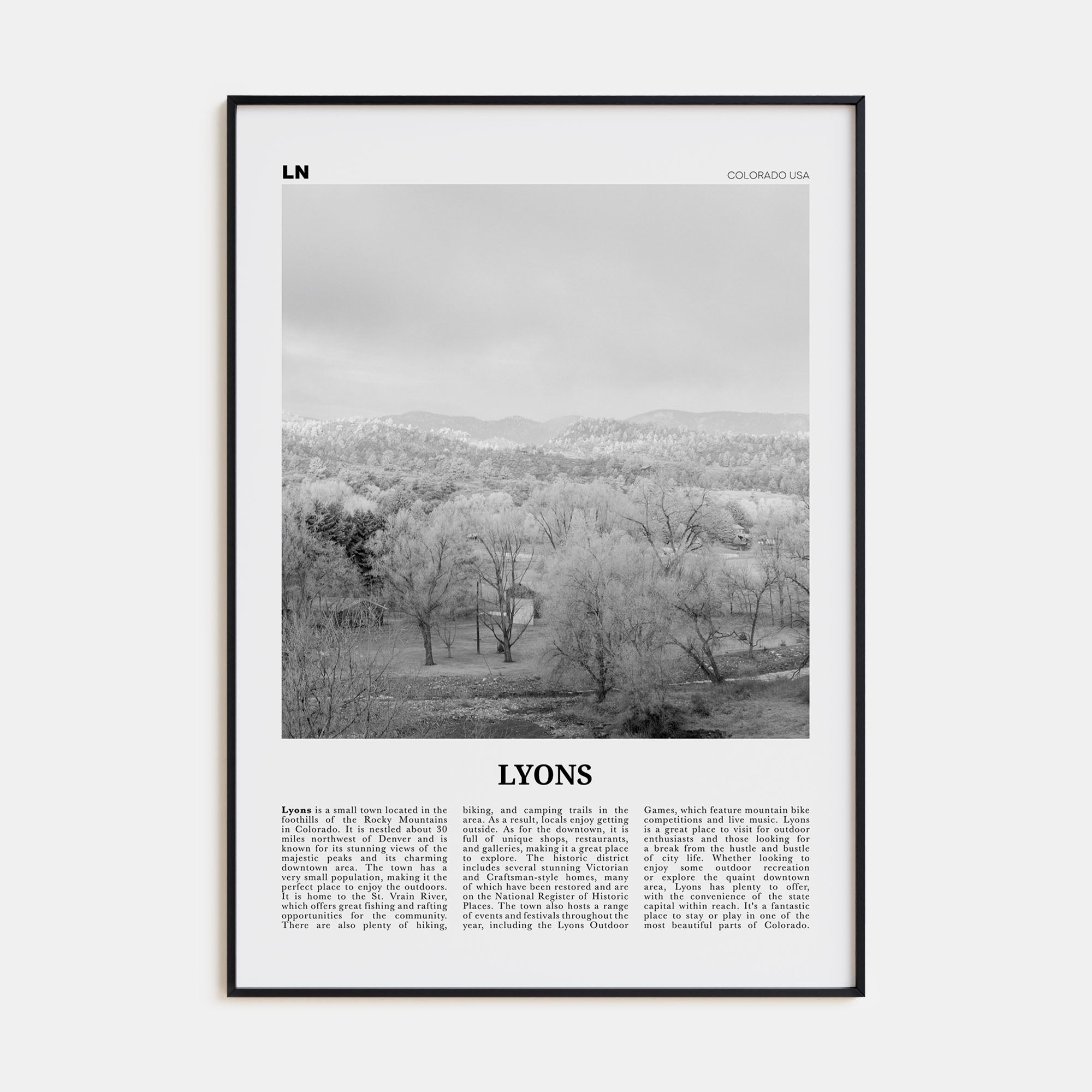 Lyons Travel B&W Poster