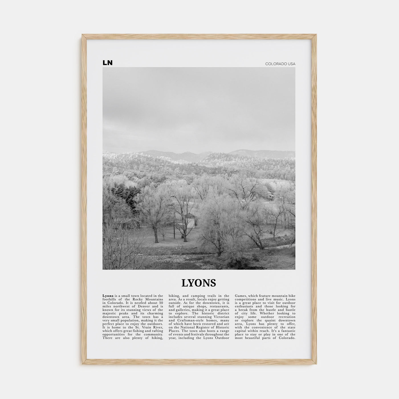 Lyons Travel B&W Poster