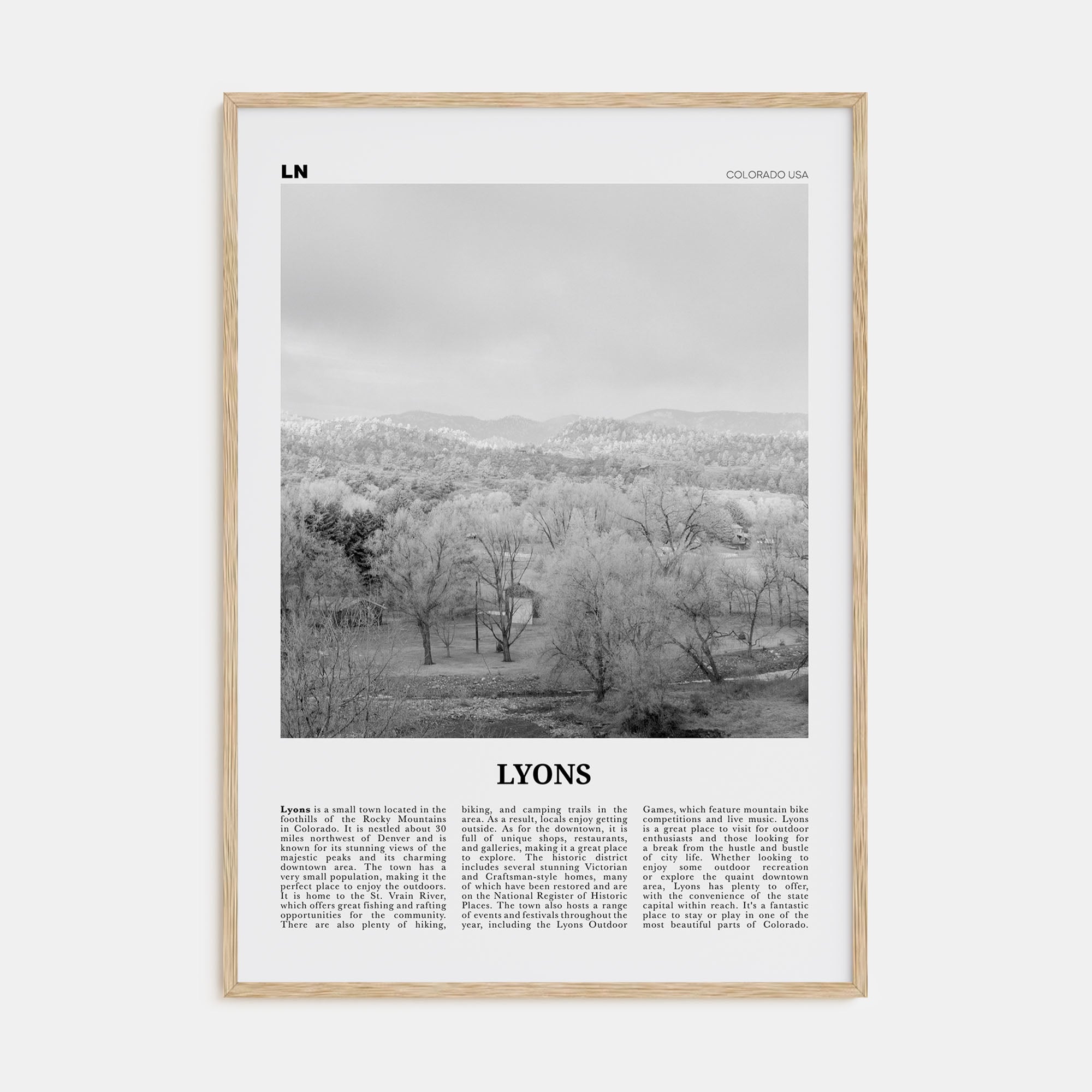 Lyons Travel B&W Poster
