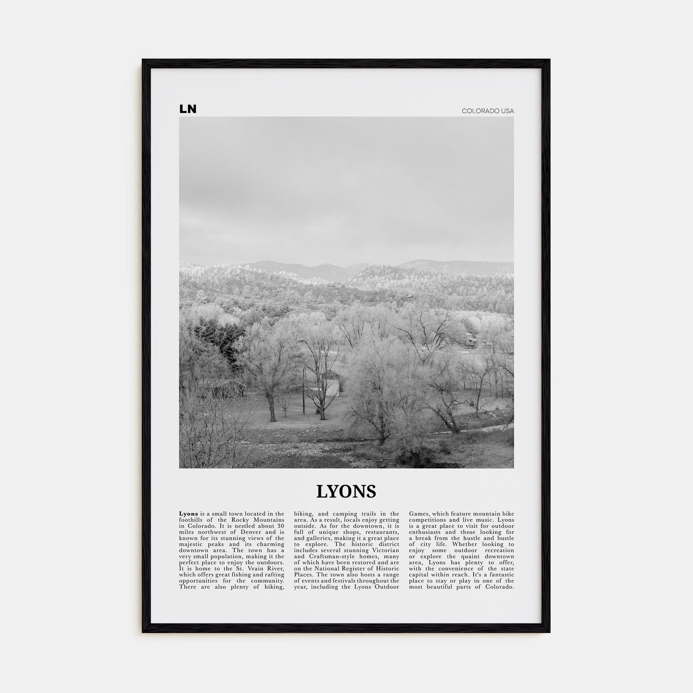 Lyons Travel B&W Poster