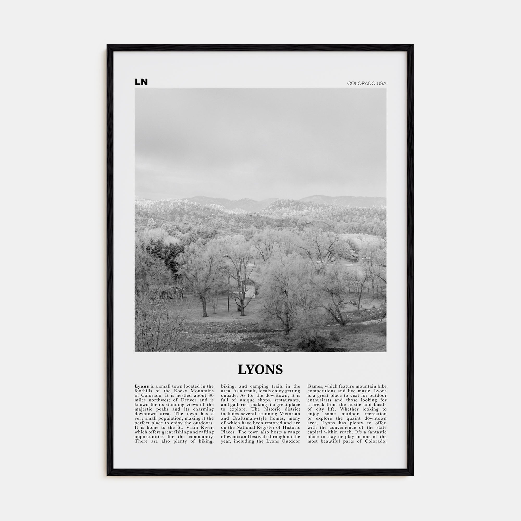 Lyons Travel B&W Poster