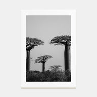 Madagascar Photo B&W Poster