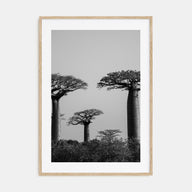 Madagascar Photo B&W Poster