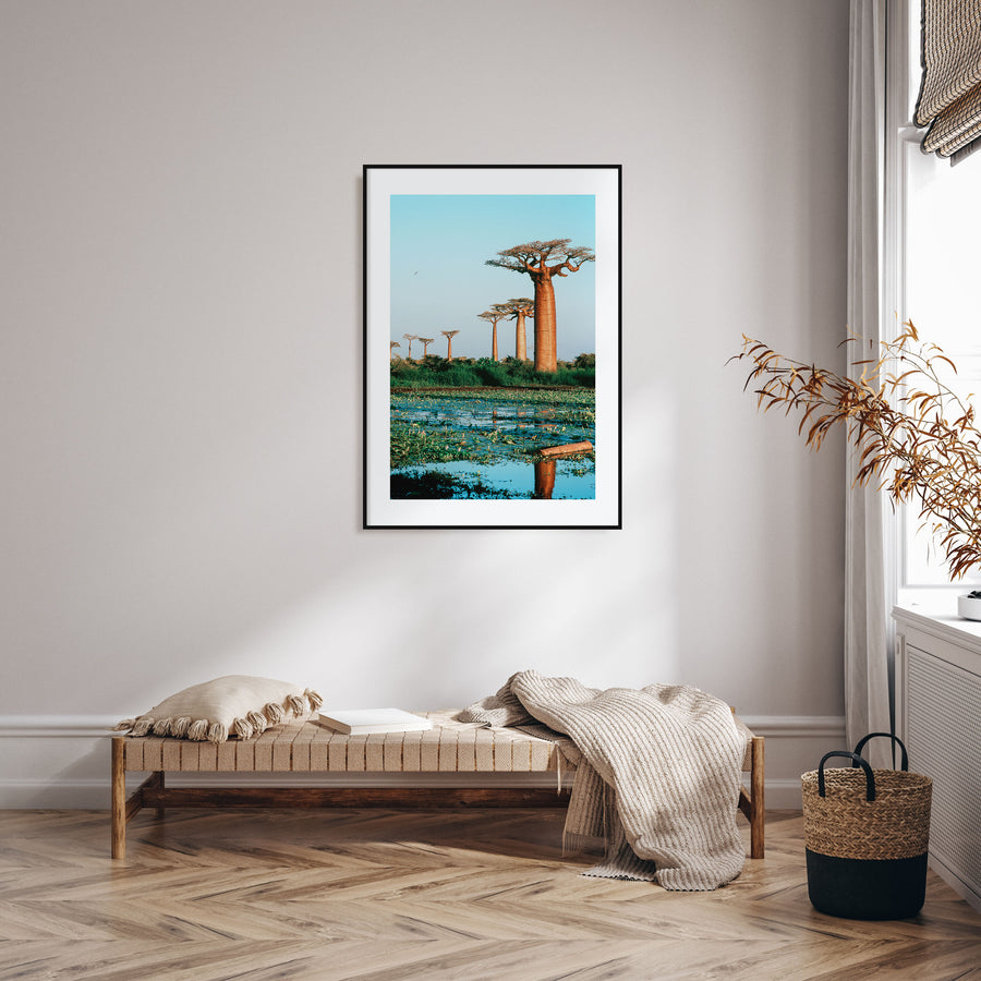 Madagascar Photo Color Poster