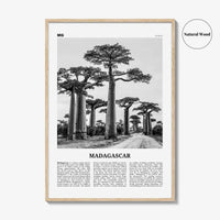 Madagascar Print Black and White, Madagascar Wall Art, Madagascar Poster, Madagascar Photo, Madagasikara, Antananarivo, Africa