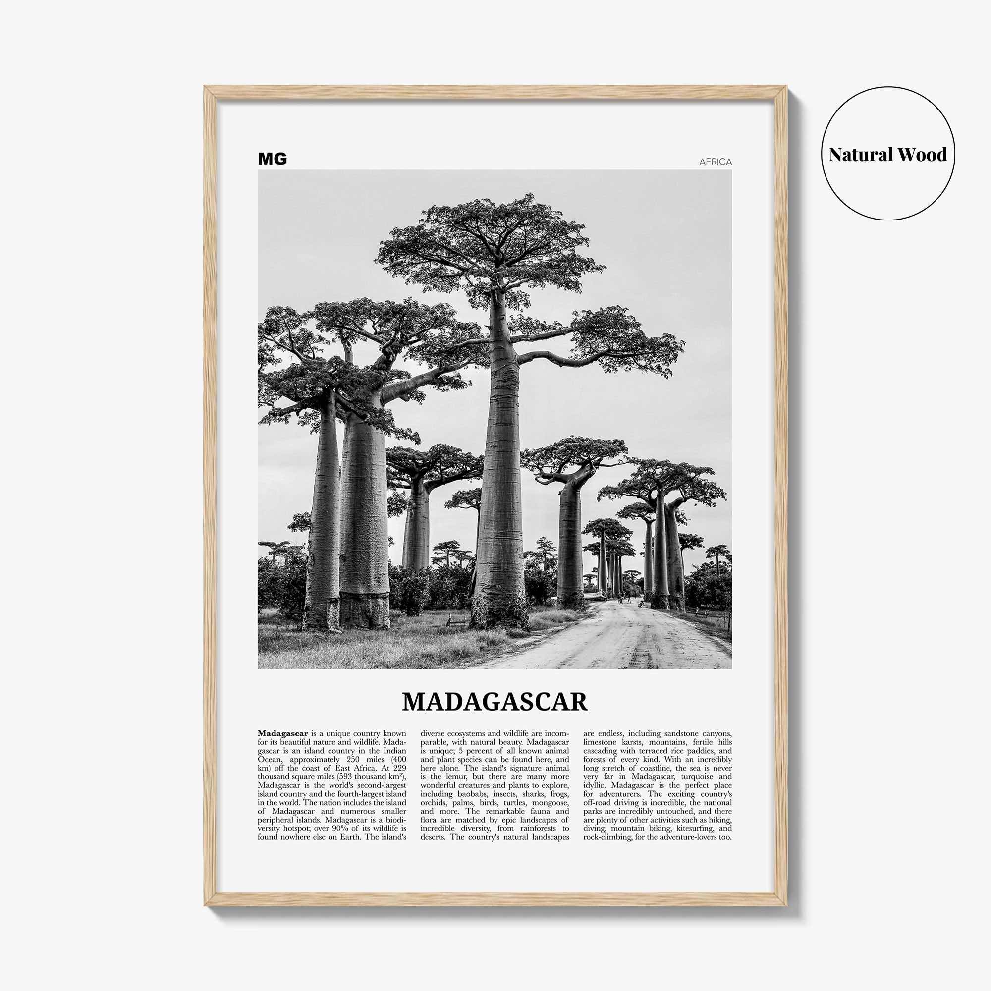 Madagascar Print Black and White, Madagascar Wall Art, Madagascar Poster, Madagascar Photo, Madagasikara, Antananarivo, Africa