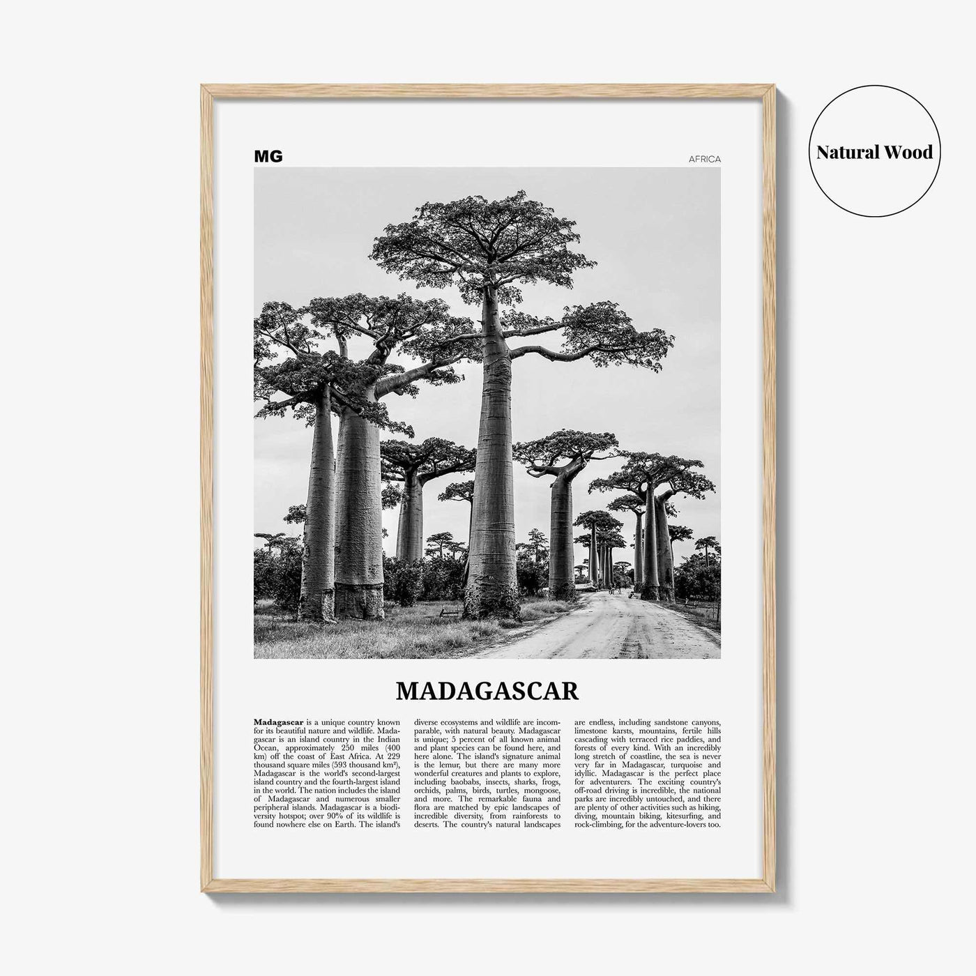 Madagascar Print Black and White, Madagascar Wall Art, Madagascar Poster, Madagascar Photo, Madagasikara, Antananarivo, Africa