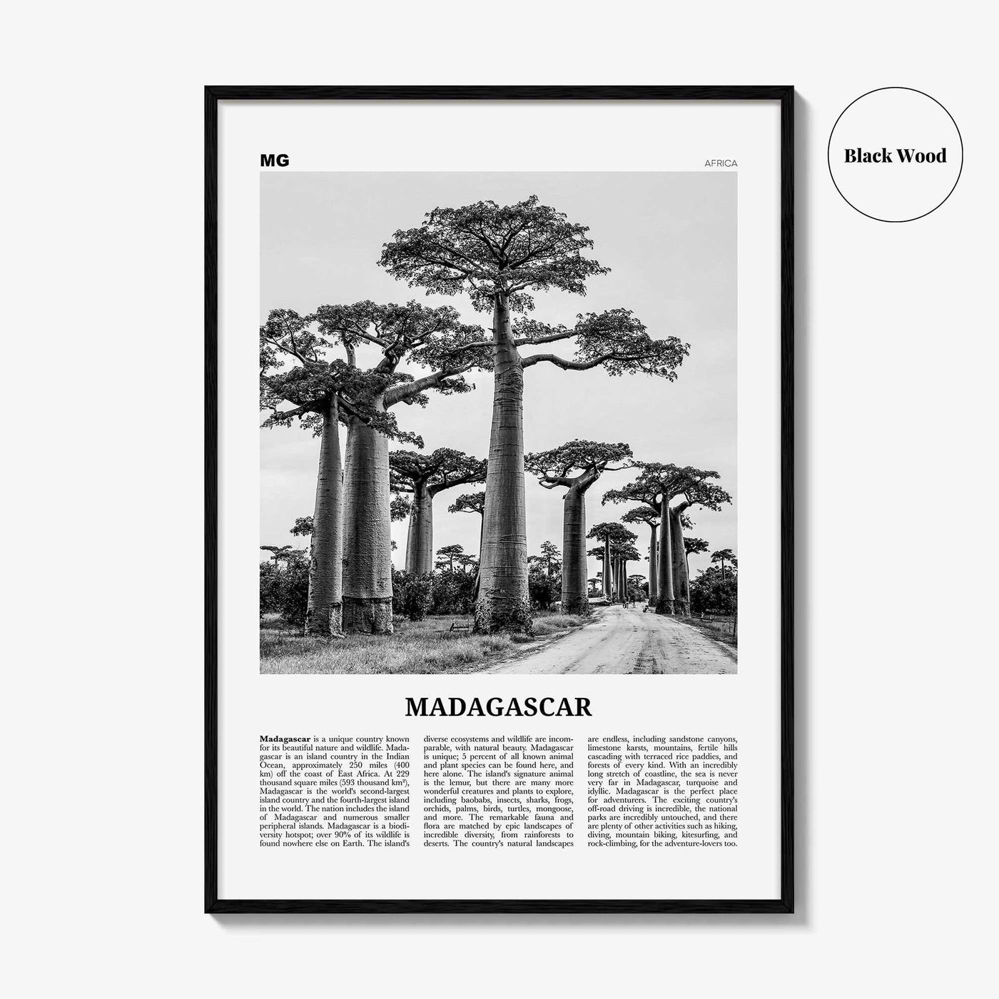 Madagascar Print Black and White, Madagascar Wall Art, Madagascar Poster, Madagascar Photo, Madagasikara, Antananarivo, Africa