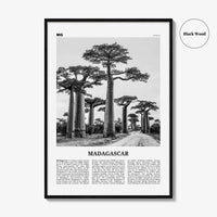 Madagascar Print Black and White, Madagascar Wall Art, Madagascar Poster, Madagascar Photo, Madagasikara, Antananarivo, Africa