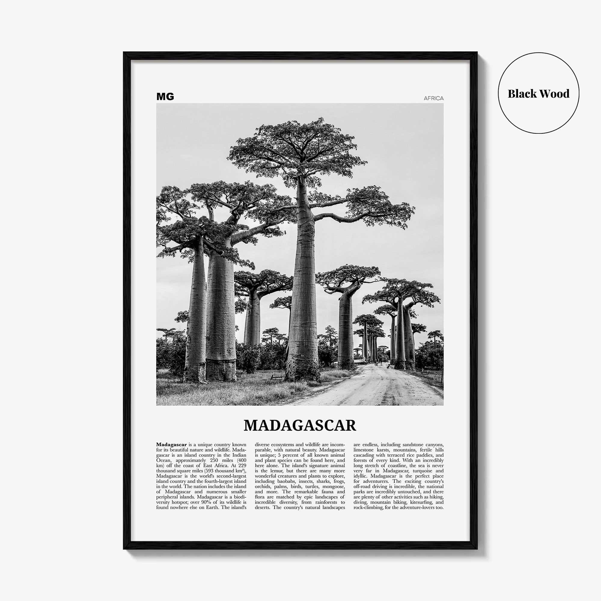 Madagascar Print Black and White, Madagascar Wall Art, Madagascar Poster, Madagascar Photo, Madagasikara, Antananarivo, Africa