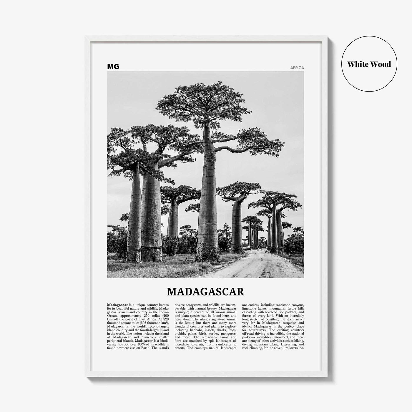 Madagascar Print Black and White, Madagascar Wall Art, Madagascar Poster, Madagascar Photo, Madagasikara, Antananarivo, Africa
