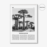 Madagascar Print Black and White, Madagascar Wall Art, Madagascar Poster, Madagascar Photo, Madagasikara, Antananarivo, Africa