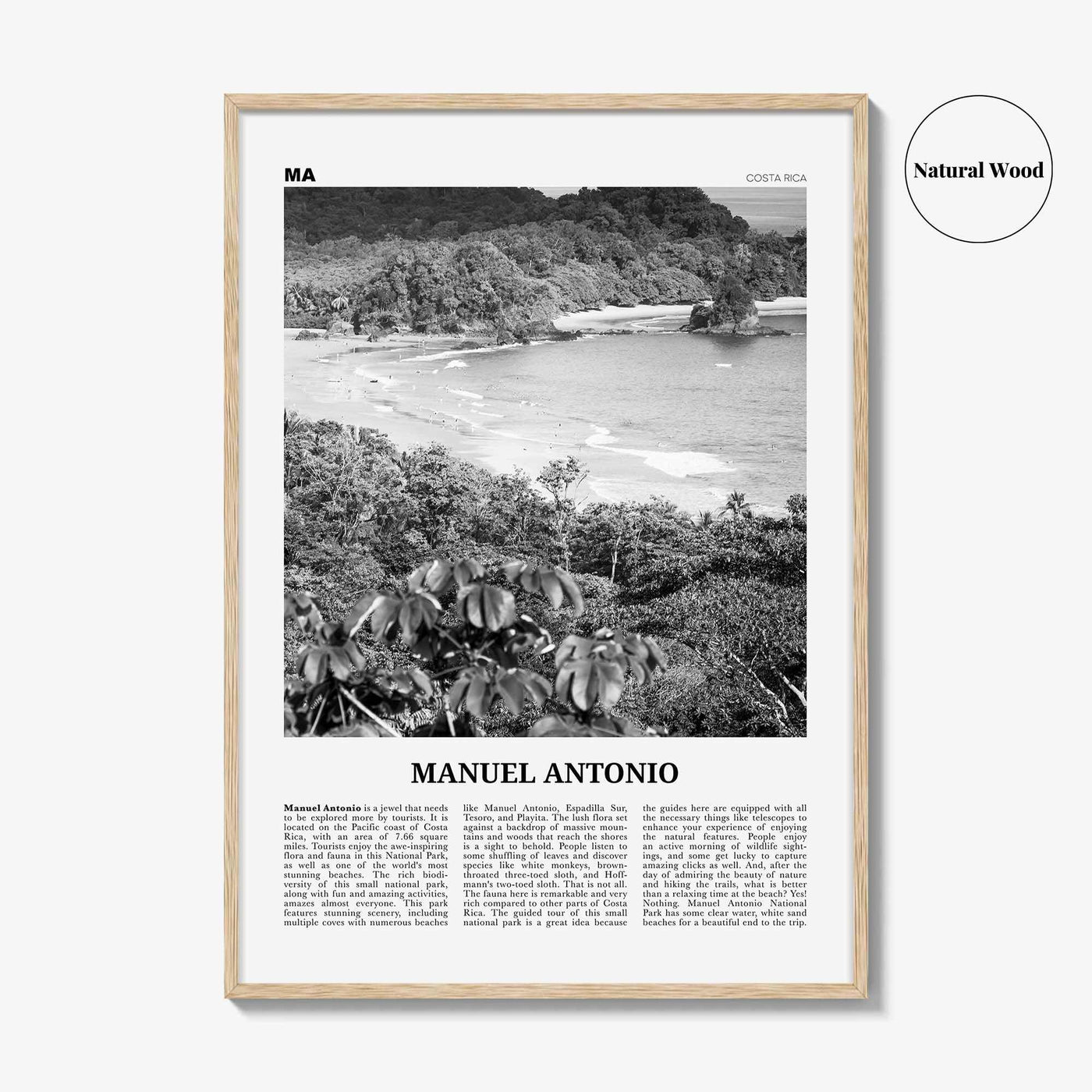 Manuel Antonio National Park Print Black and White, Manuel Antonio Wall Art, Manuel Antonio Poster, Manuel Antonio Photo, Costa Rica