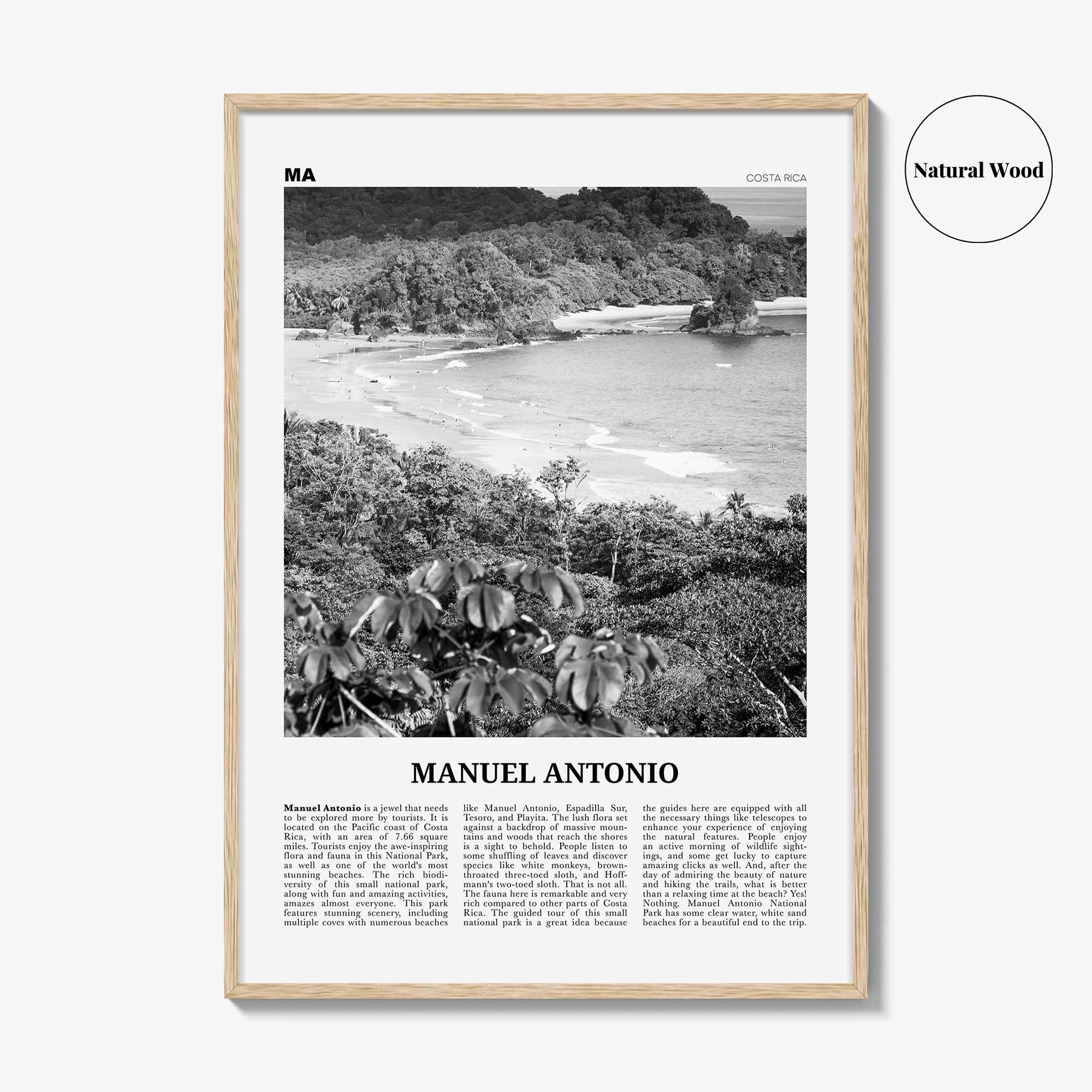 Manuel Antonio National Park Print Black and White, Manuel Antonio Wall Art, Manuel Antonio Poster, Manuel Antonio Photo, Costa Rica
