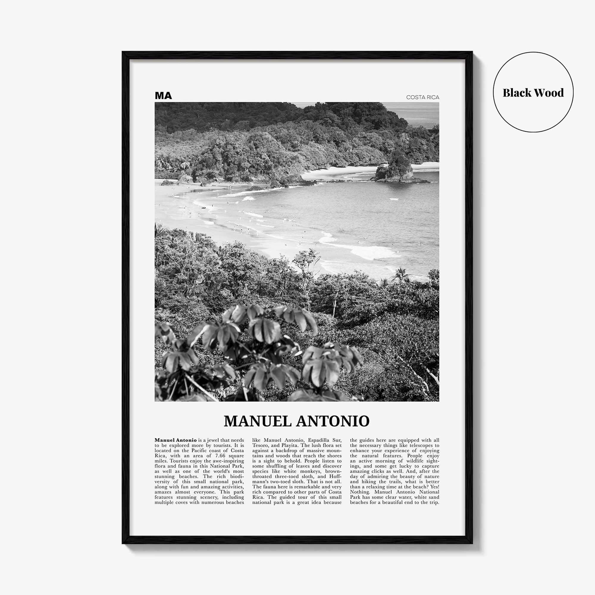 Manuel Antonio National Park Print Black and White, Manuel Antonio Wall Art, Manuel Antonio Poster, Manuel Antonio Photo, Costa Rica
