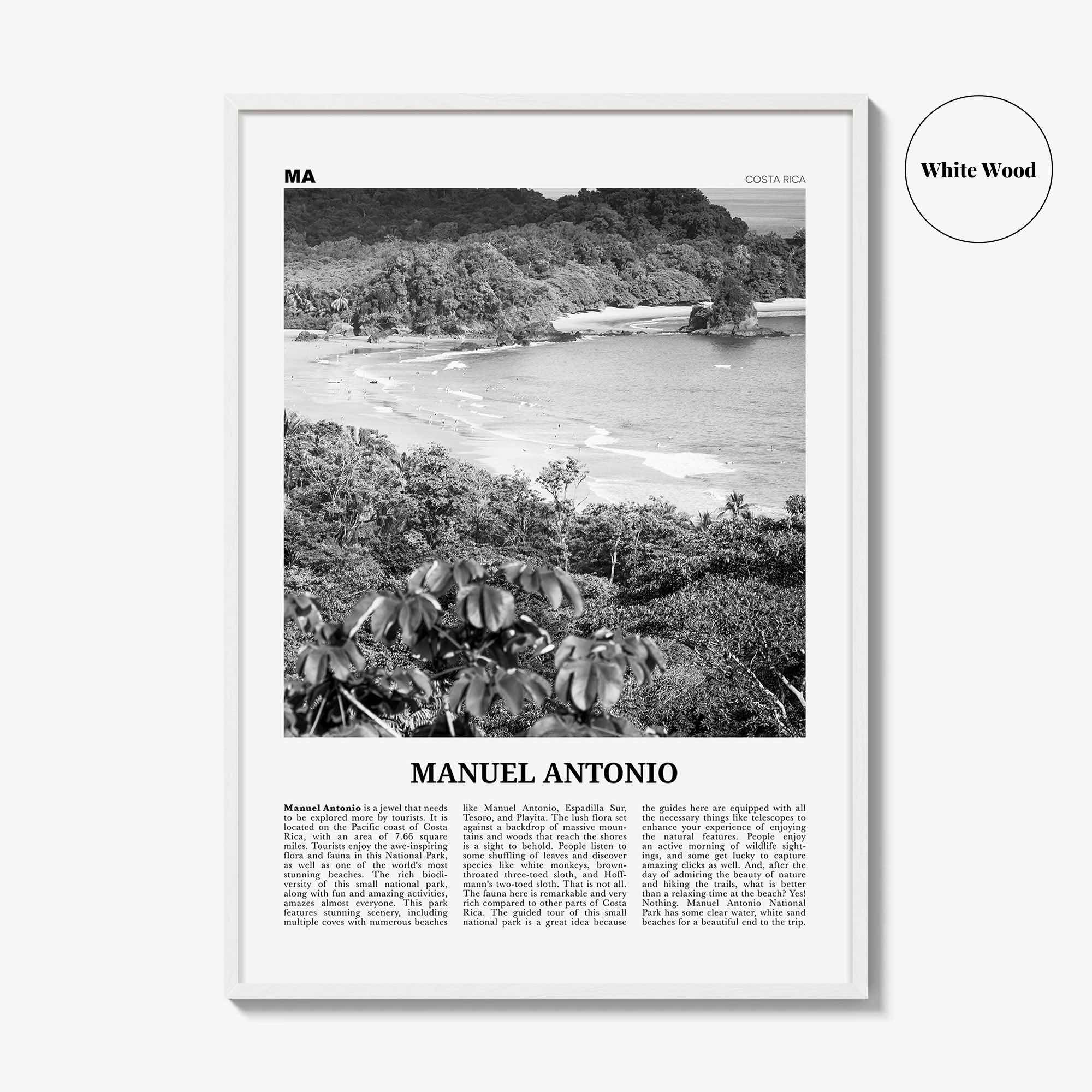 Manuel Antonio National Park Print Black and White, Manuel Antonio Wall Art, Manuel Antonio Poster, Manuel Antonio Photo, Costa Rica