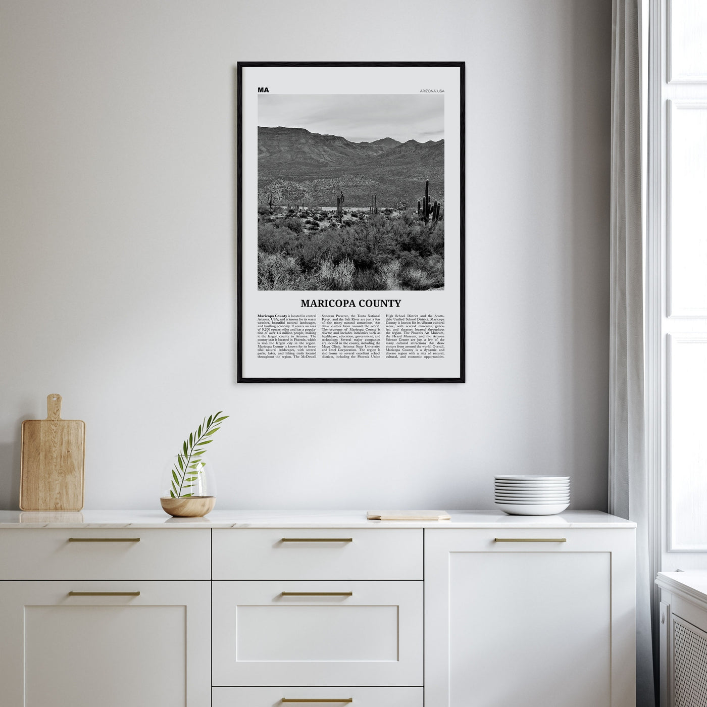 Maricopa County Travel B&W Poster