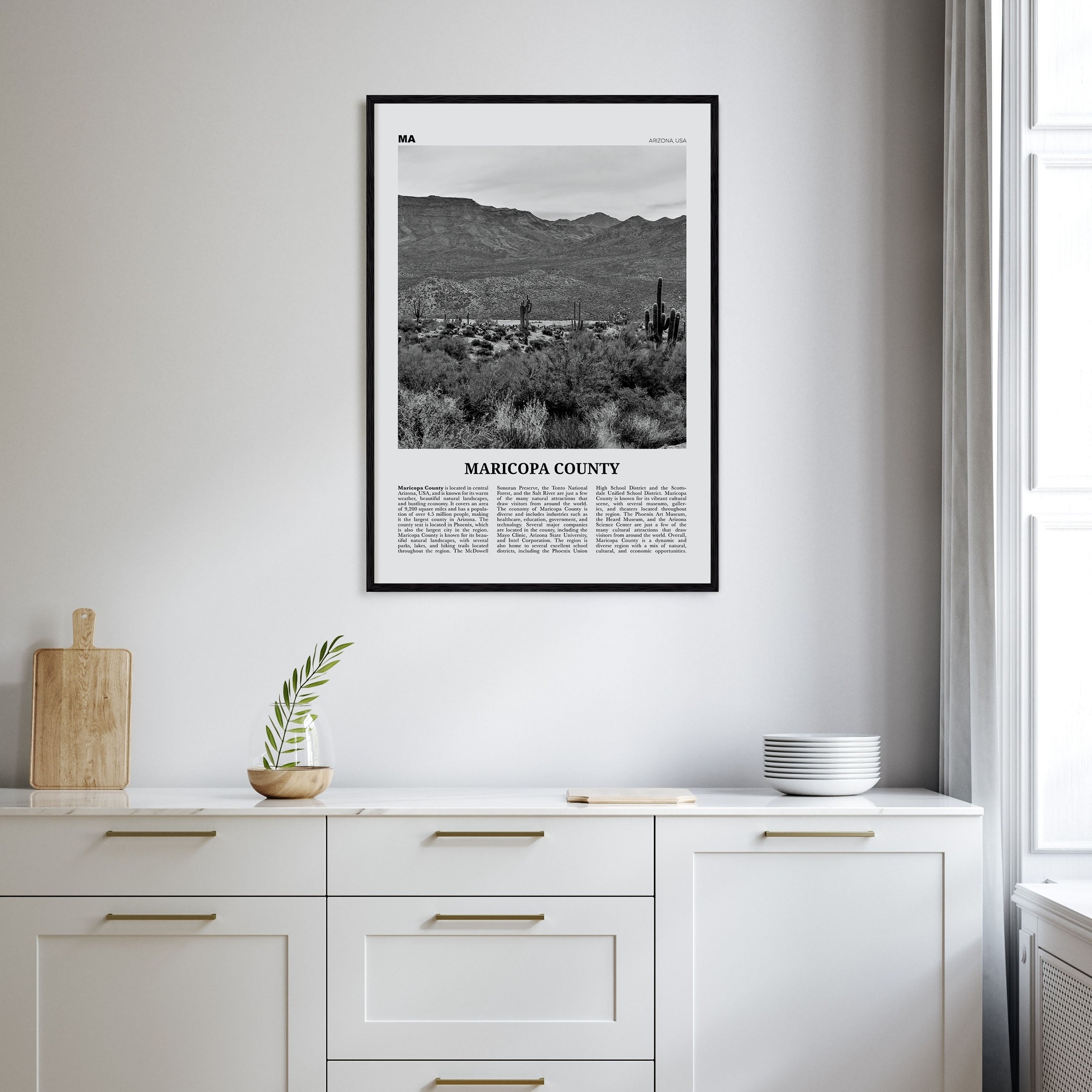 Maricopa County Travel B&W Poster
