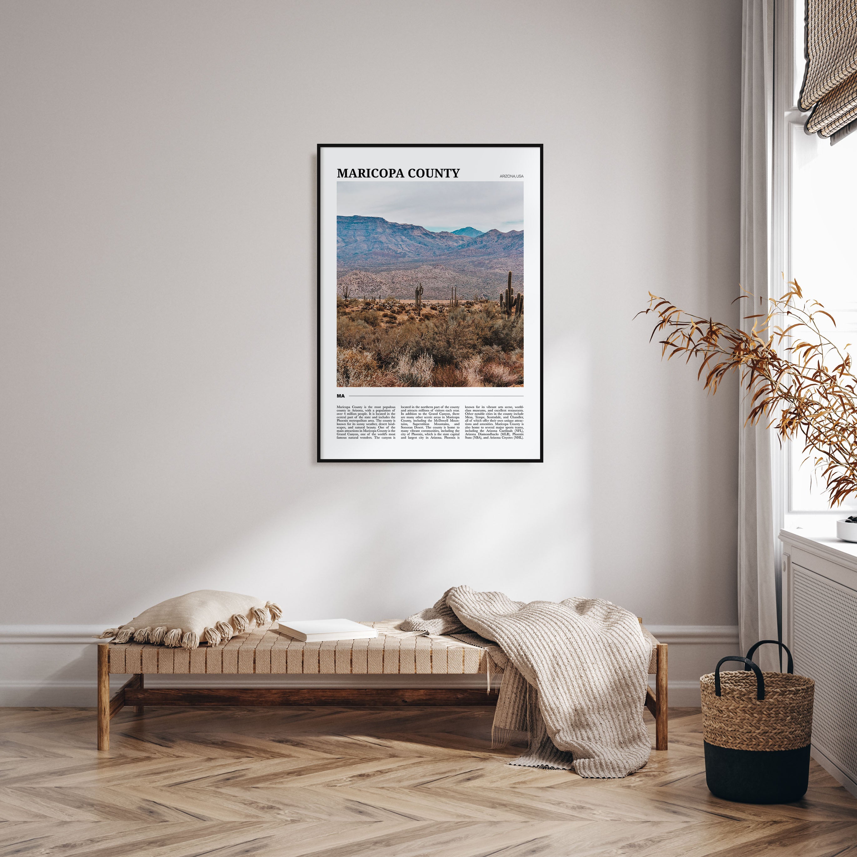 Maricopa County Travel Color Poster