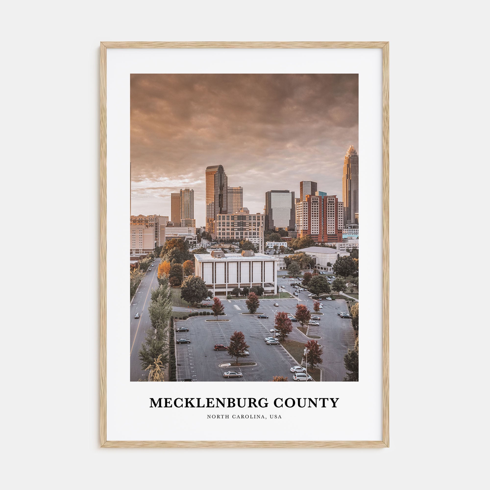 Mecklenburg County Portrait Color Poster