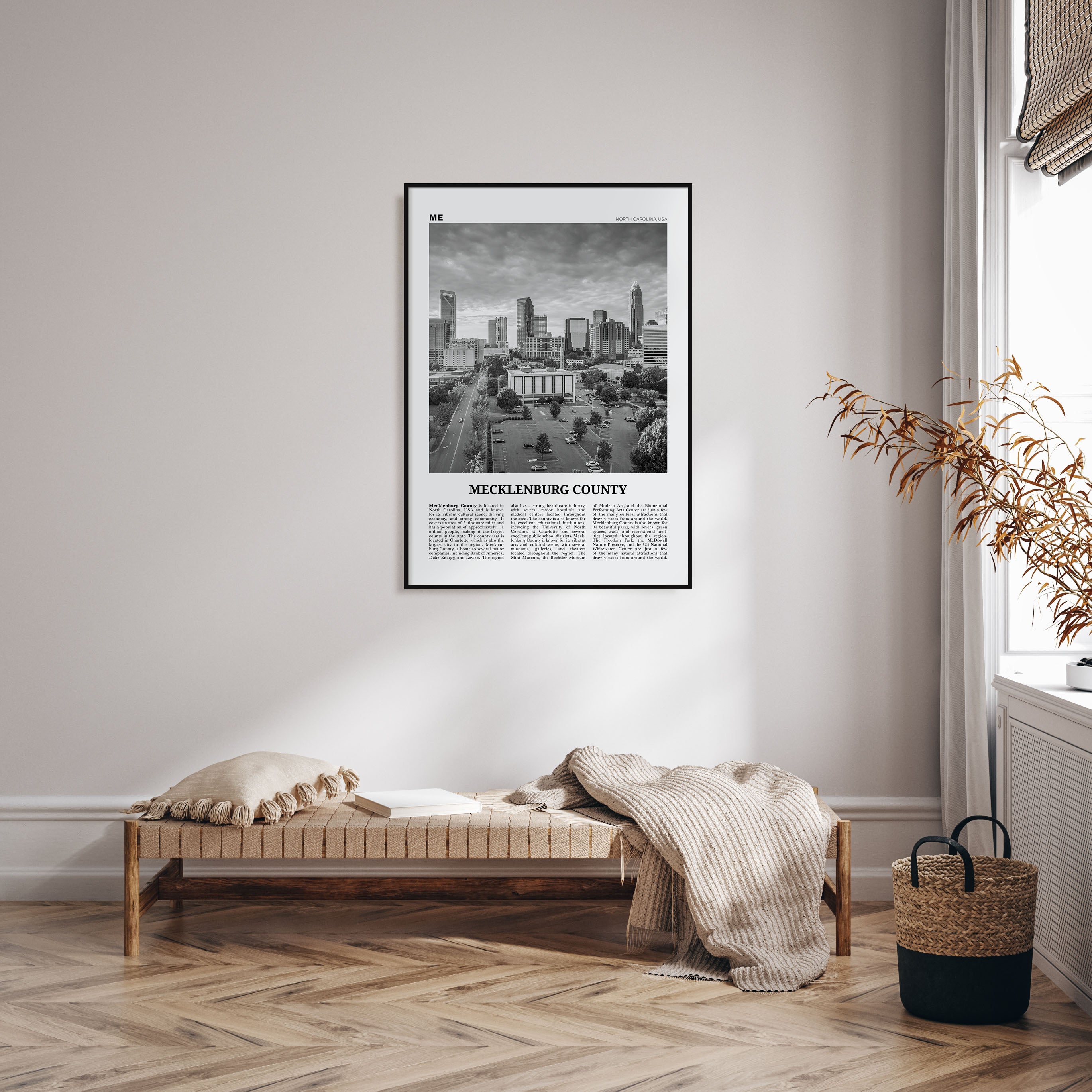Mecklenburg County Travel B&W Poster