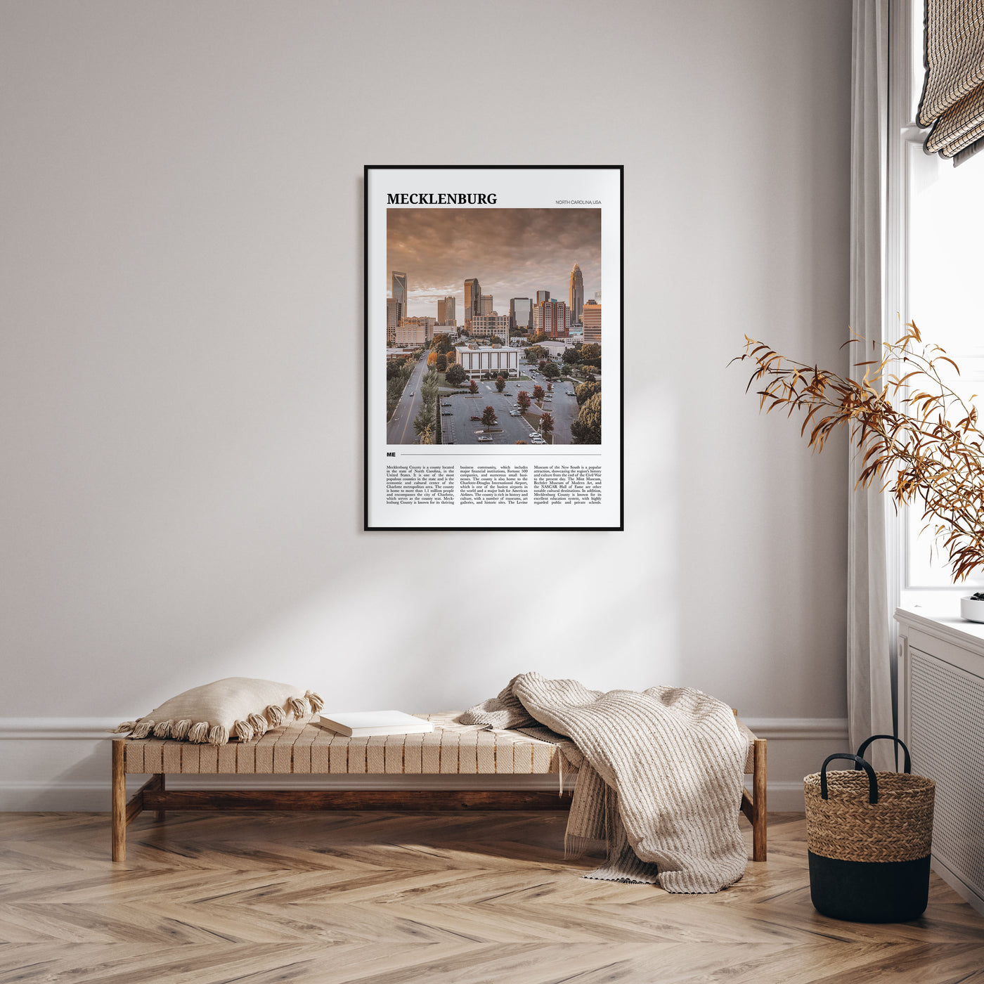 Mecklenburg County Travel Color Poster