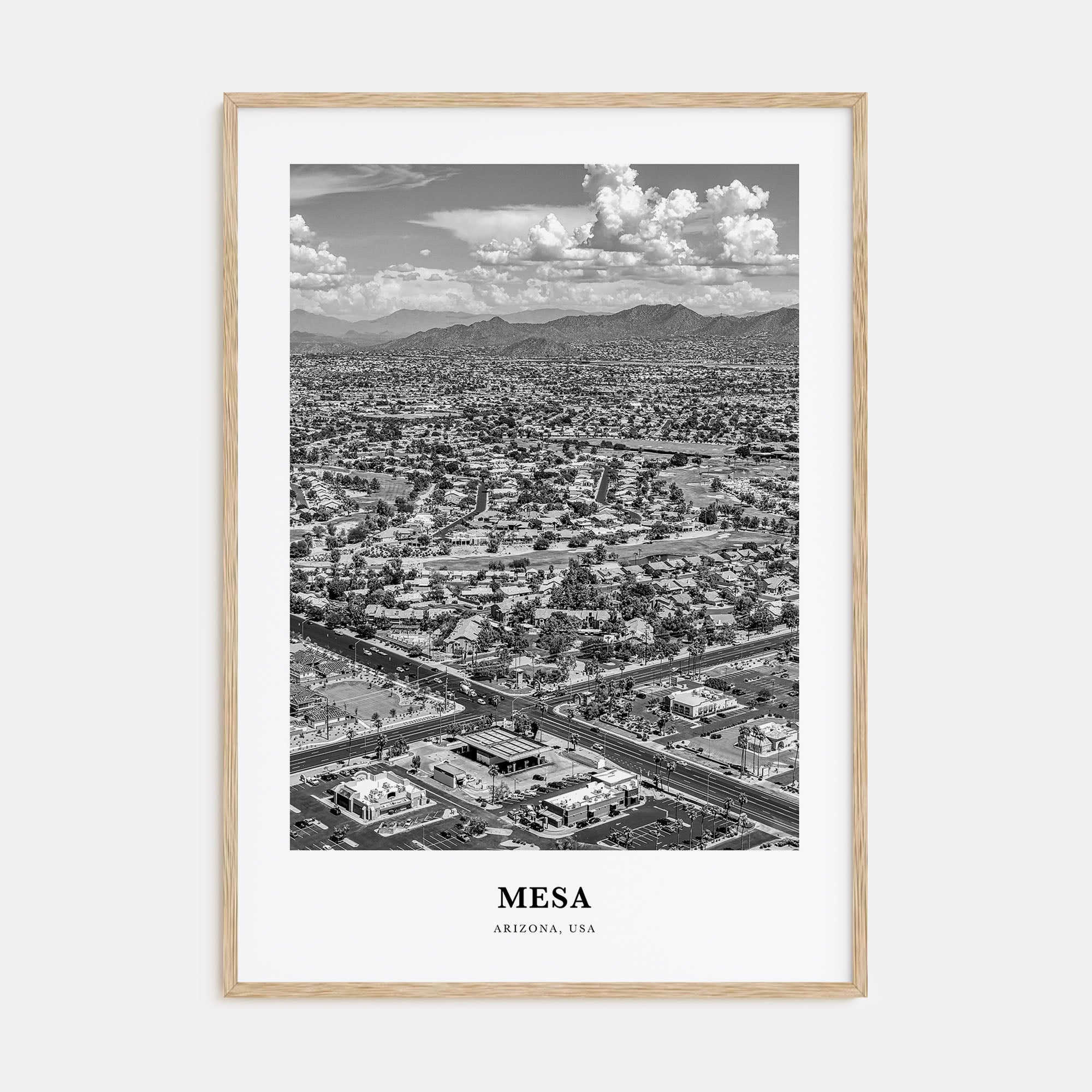 Mesa Portrait B&W Poster
