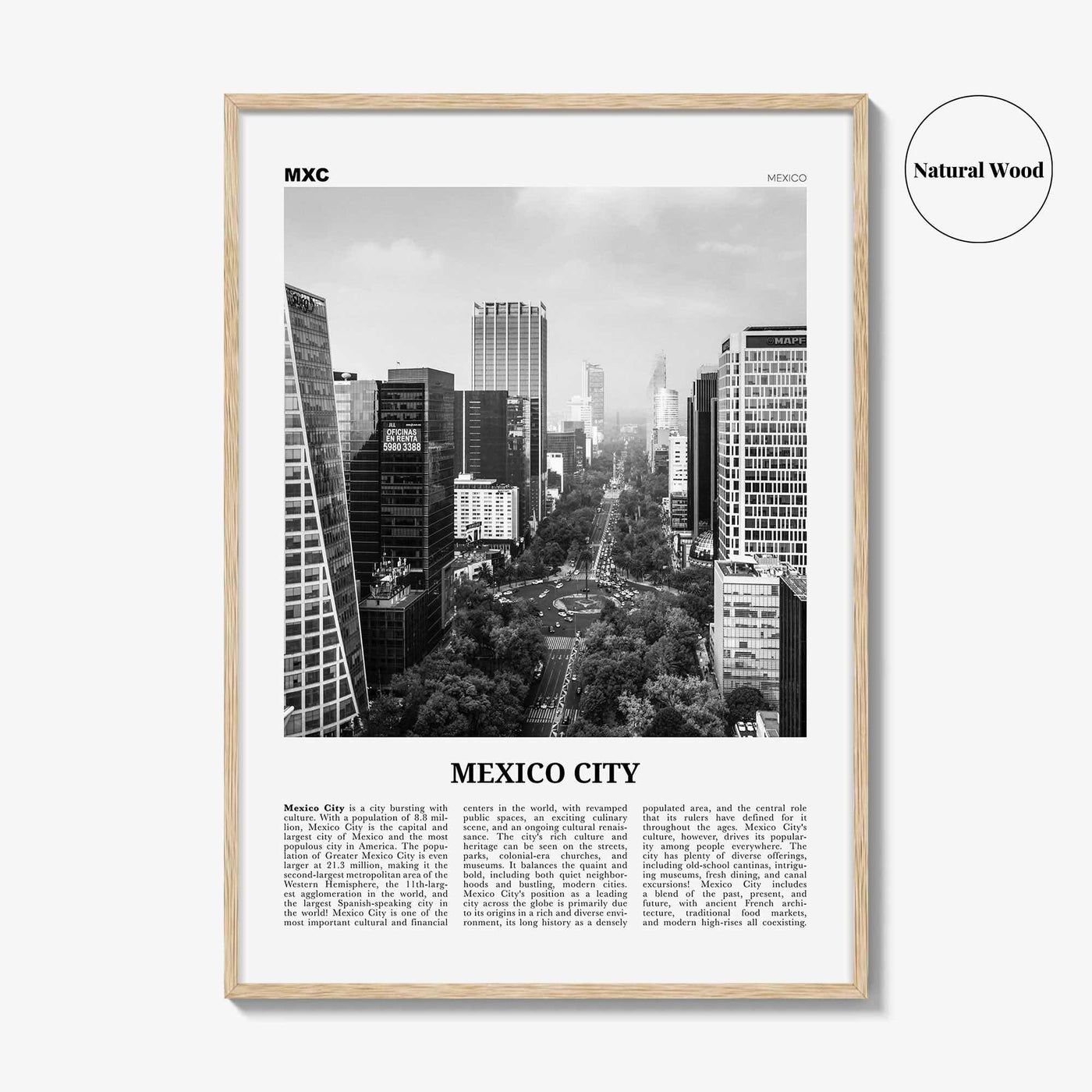 Mexico City Print Black and White No 1, Mexico City Wall Art, Mexico City Poster, Mexico City Photo, Mexico, Ciudad de México