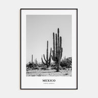 Mexico Portrait B&W No 1 Poster