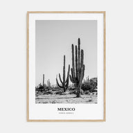 Mexico Portrait B&W No 1 Poster