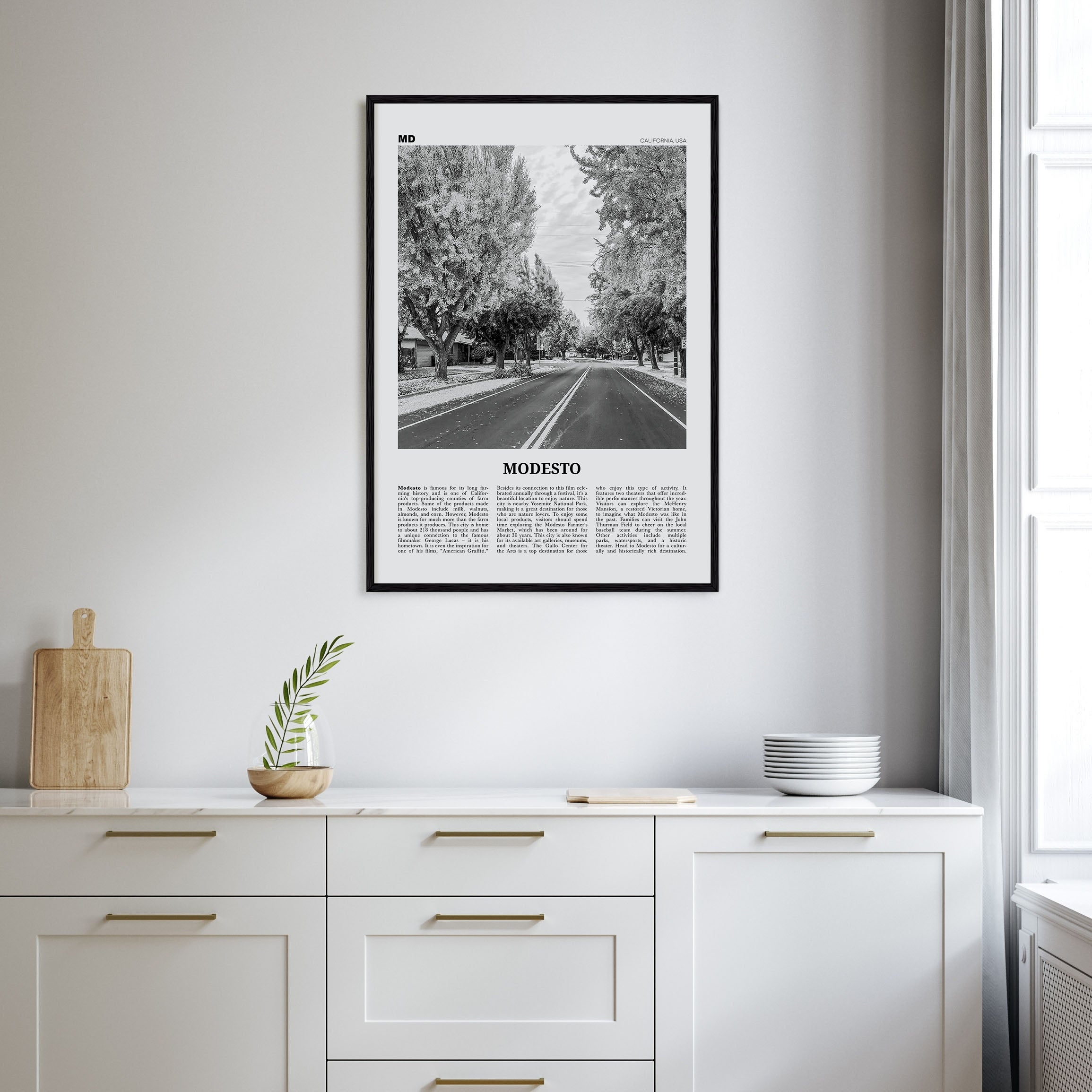 Modesto Travel B&W Poster