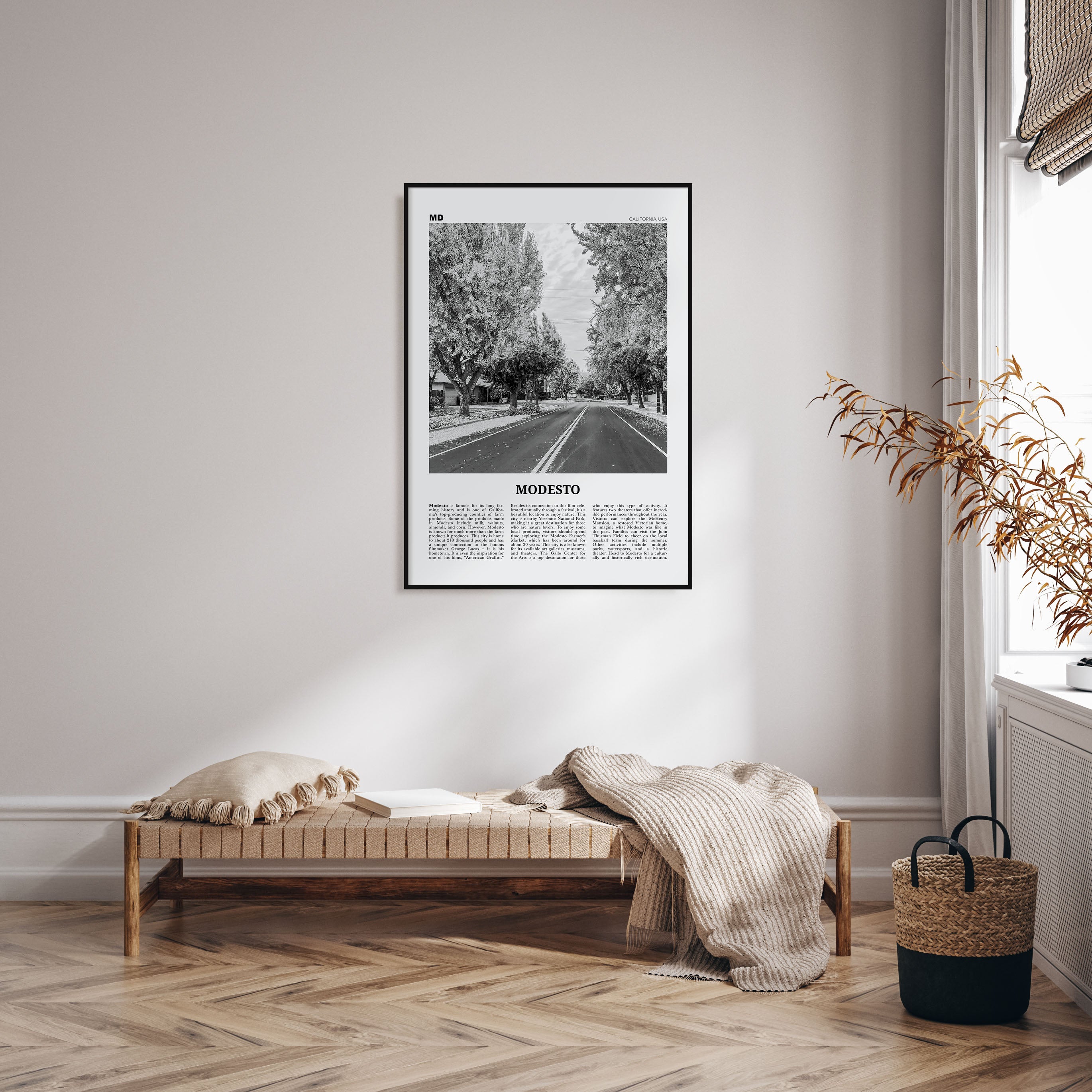 Modesto Travel B&W Poster
