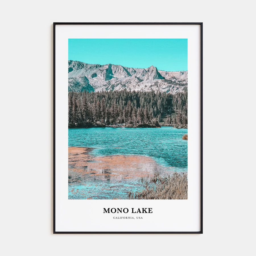 Mono Lake Portrait Color Poster