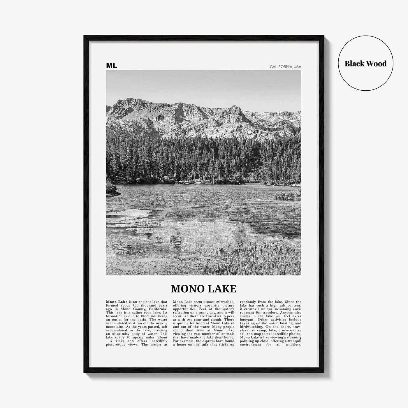 Mono Lake Print Black and White, Mono Lake Wall Art, Mono Lake Poster, Mono Lake Photo, Mono Lake Wall Décor, Mono Lake Map, California, USA