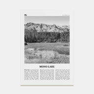 Mono Lake Travel B&W Poster