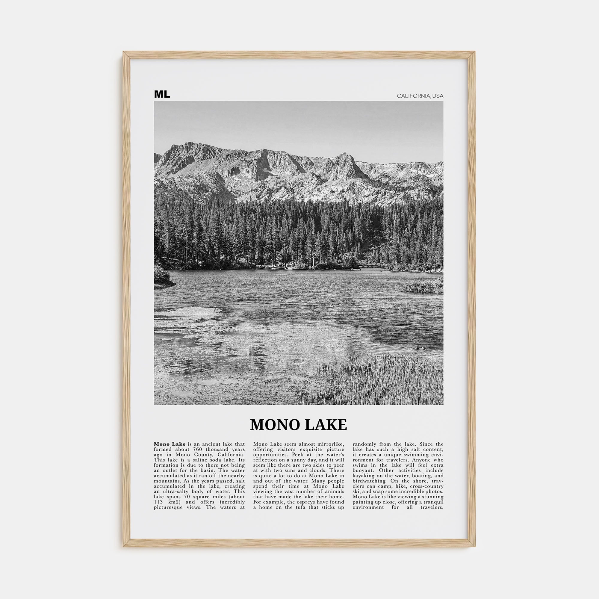 Mono Lake Travel B&W Poster