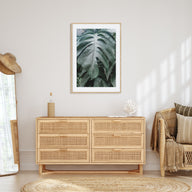 Monstera Leaf Photo Color Poster