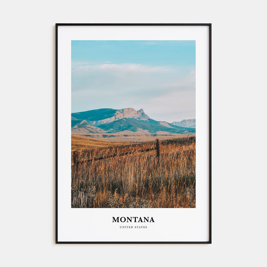 Montana Portrait Color No 2 Poster