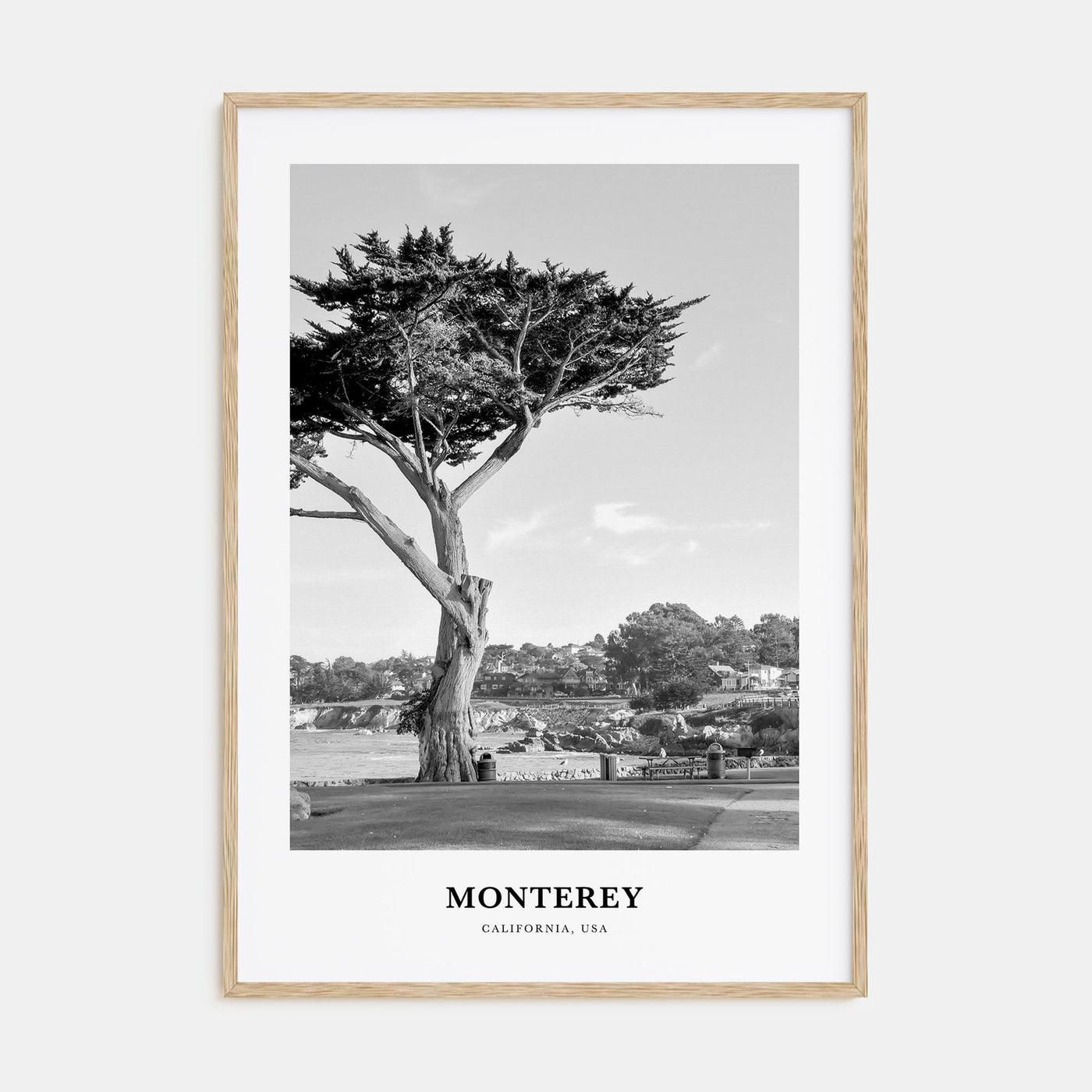 Monterey Portrait B&W Poster