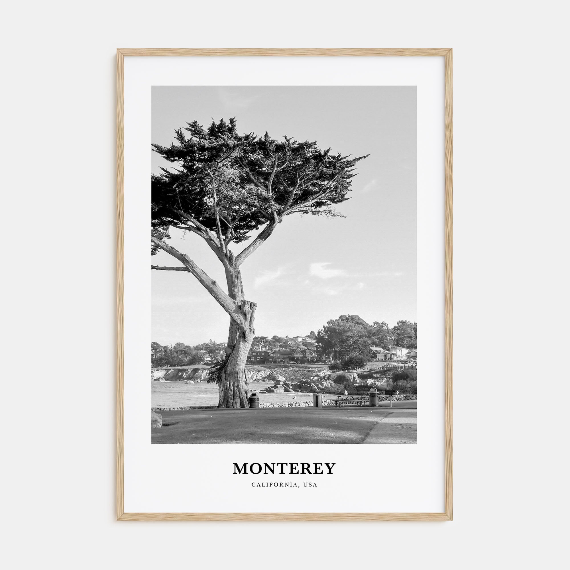 Monterey Portrait B&W Poster