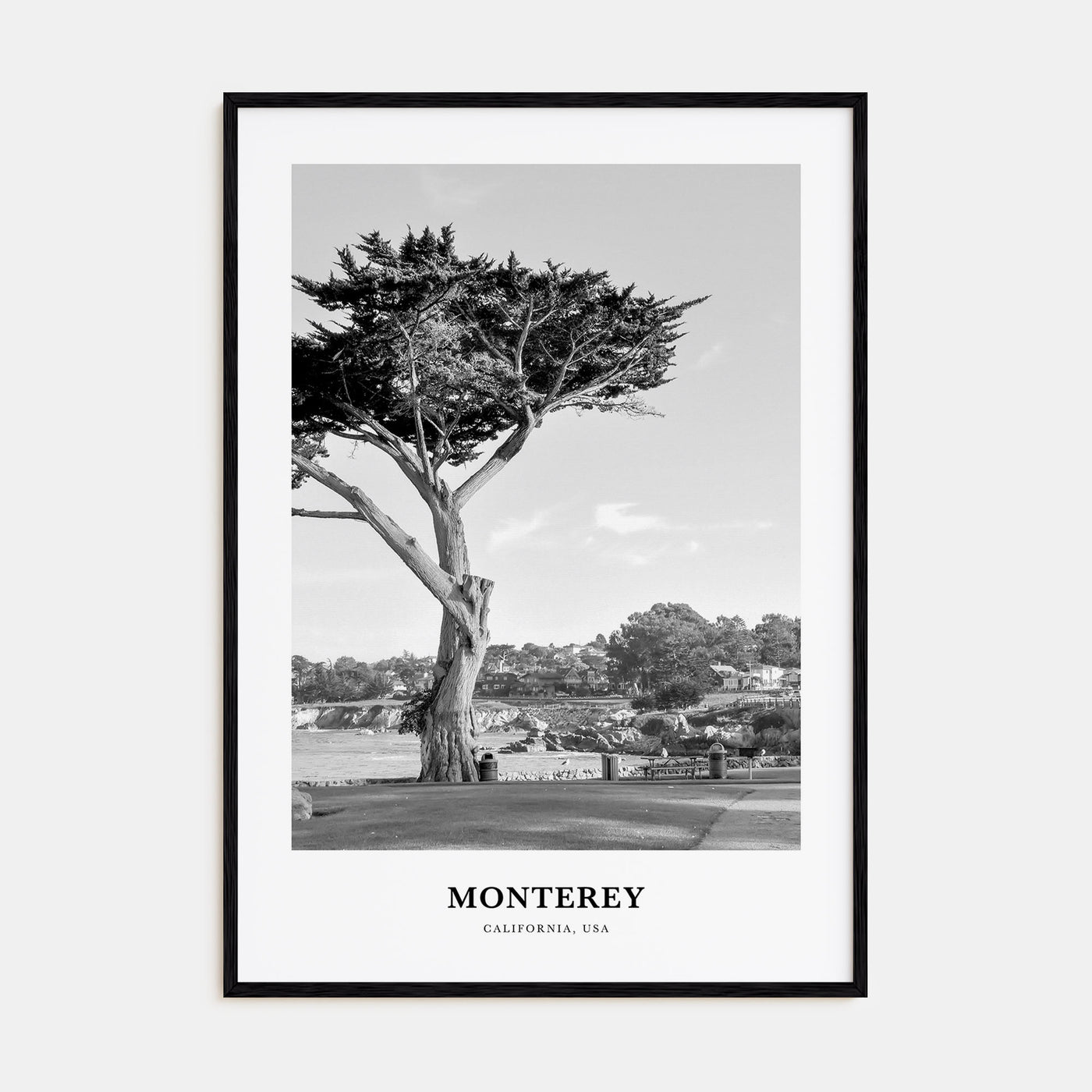 Monterey Portrait B&W Poster