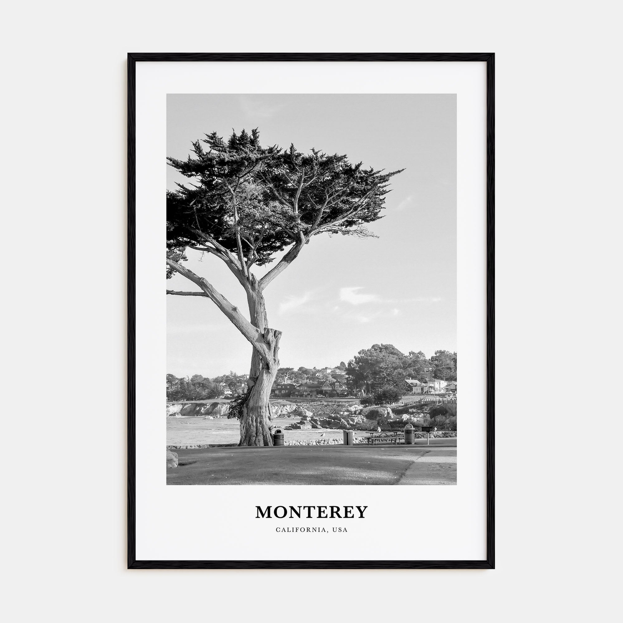 Monterey Portrait B&W Poster